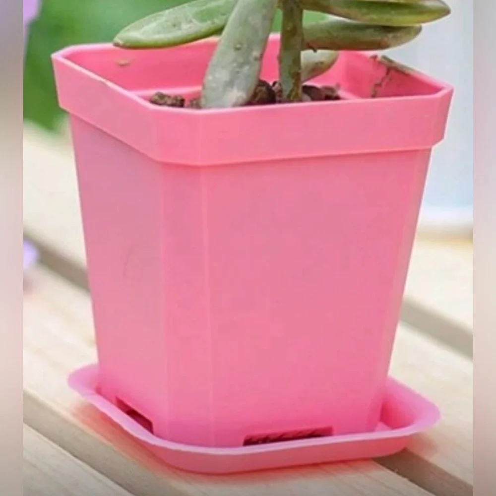 Plastic Succulent Planters w/ Trays- New -Set of 26 includes 13 pink & 13 white
